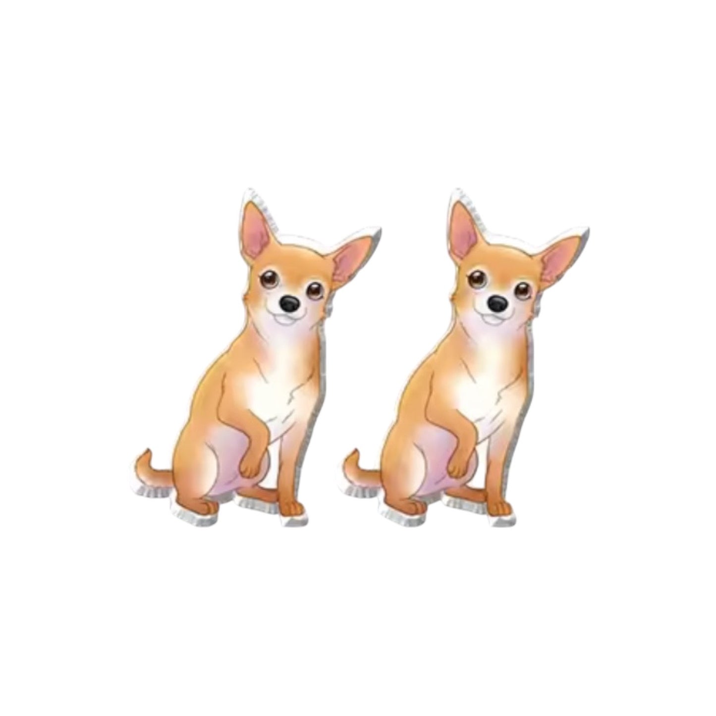 Chihuahua Studs
