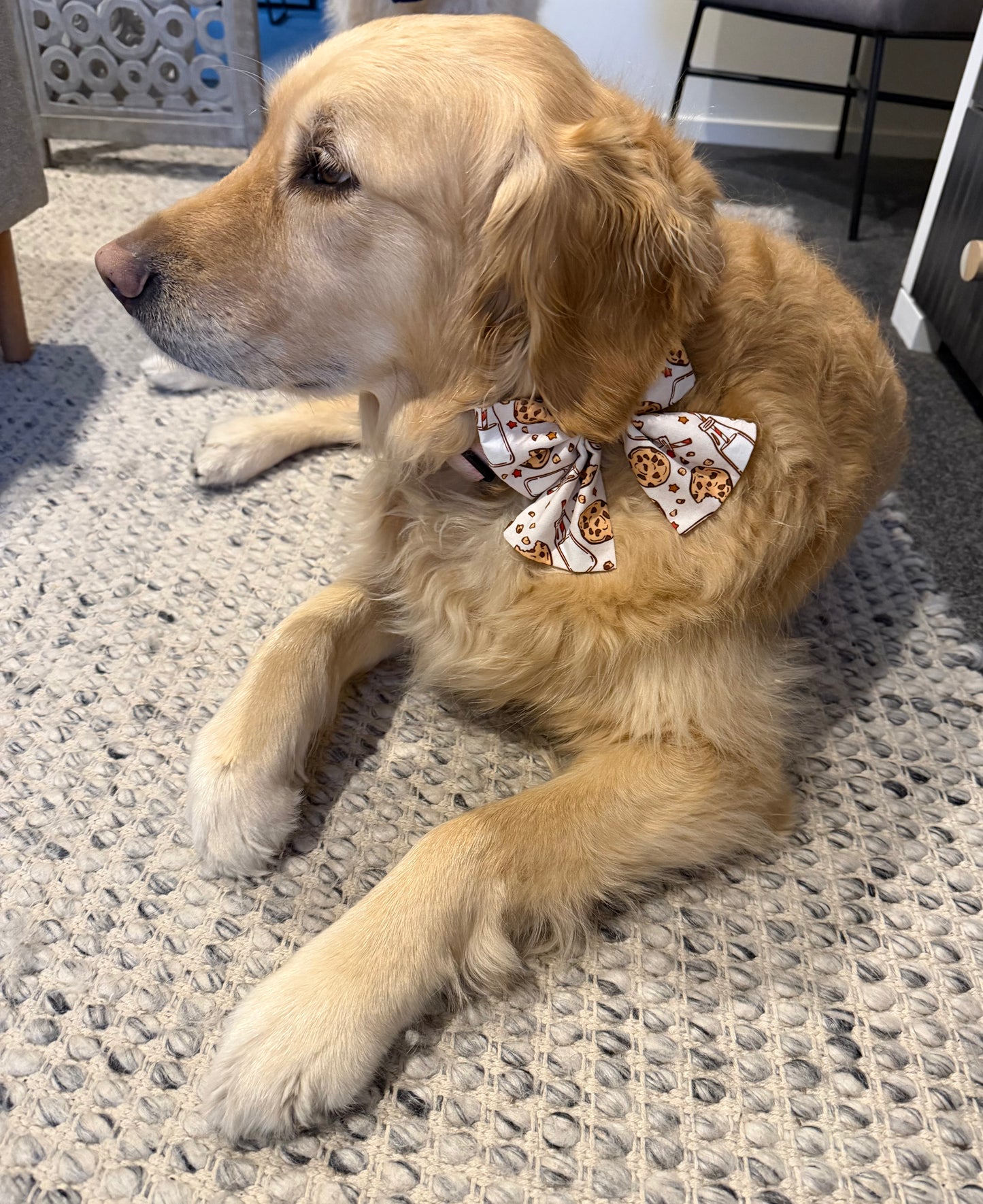 Santa's Milk & Cookies