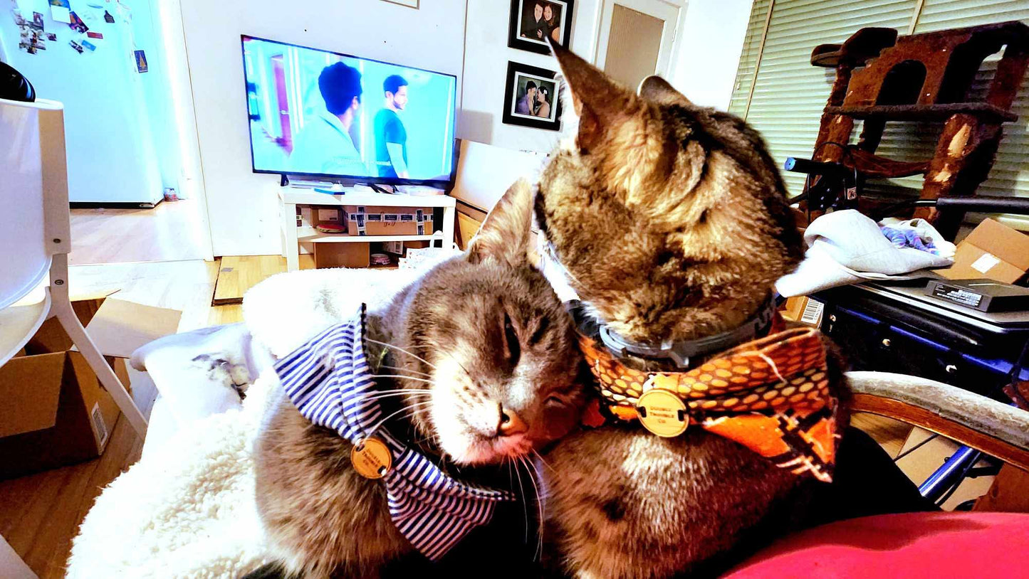 Reputation (Orange/Yellow)