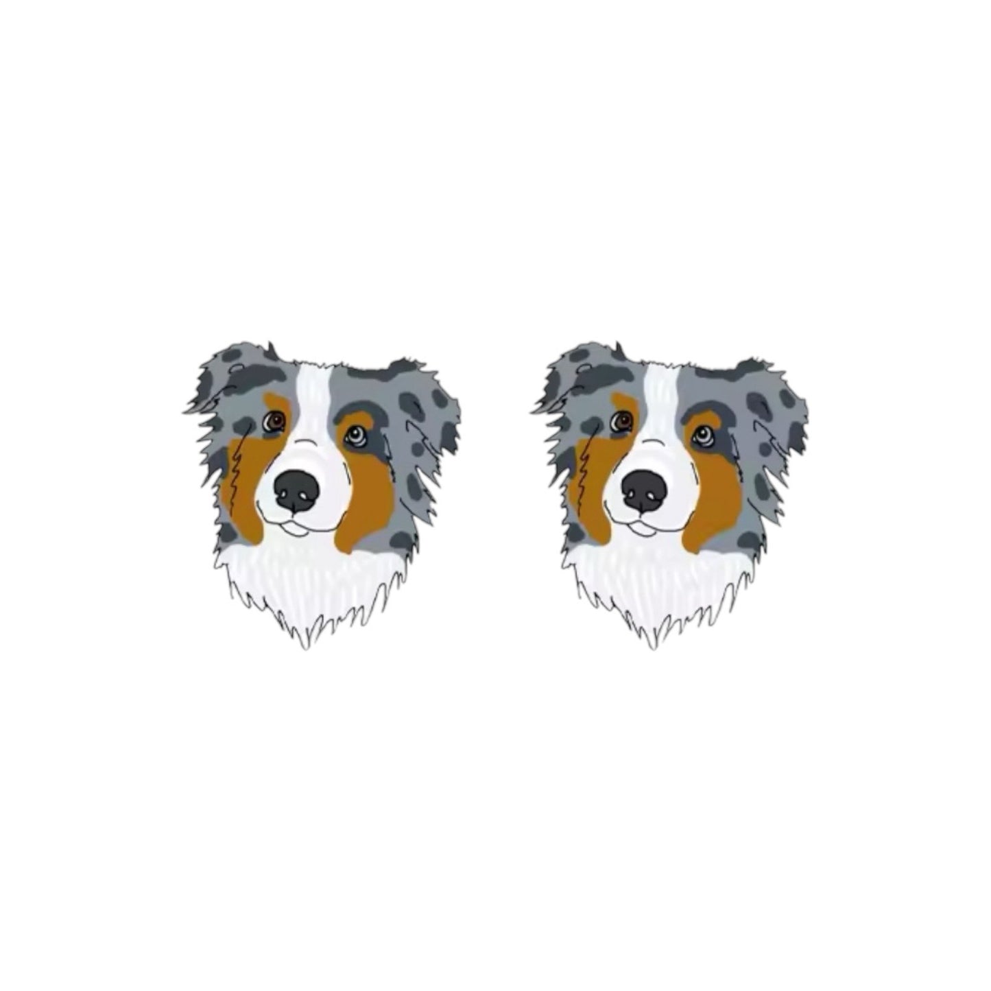 Border Collie Studs (Merle)