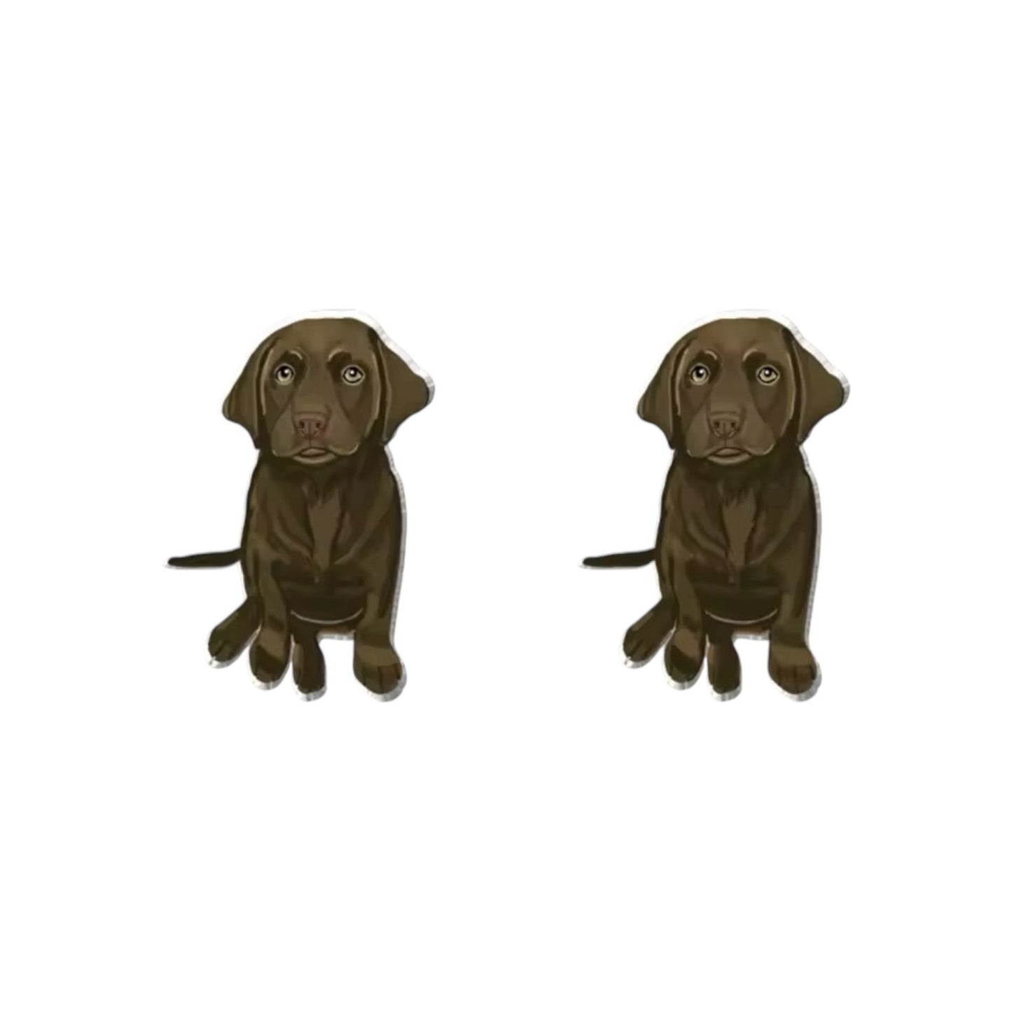 Chocolate Labrador Studs