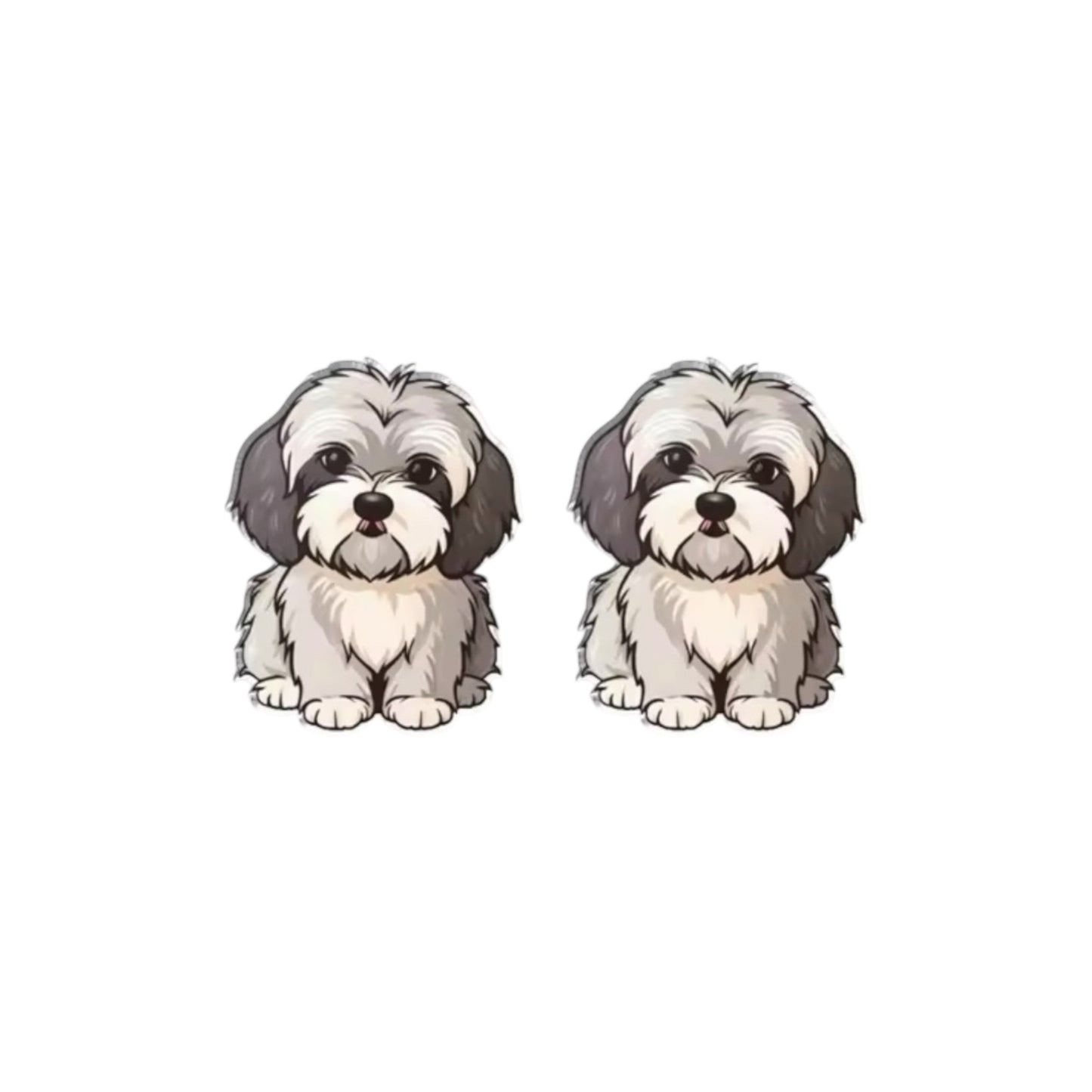 Maltese Shih Tzu Studs