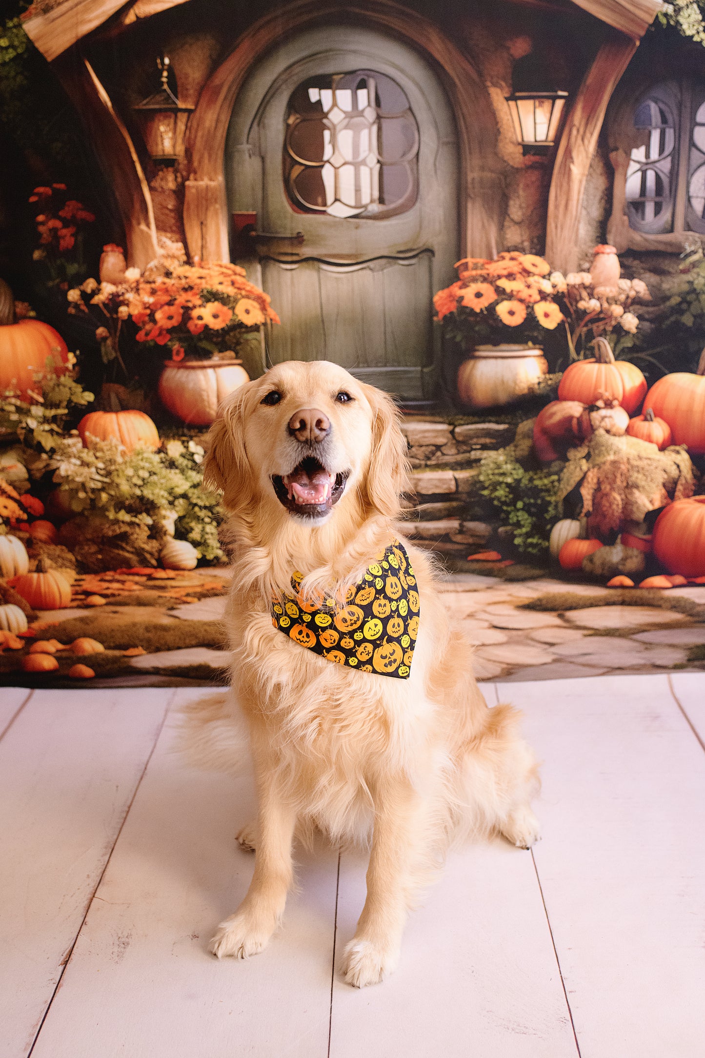 Dog wearing a bandana in front of a hobbit-like house with pumpkins and flowers.