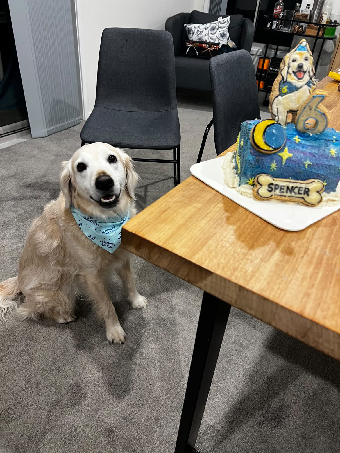 It's My Barkday! (Blue)