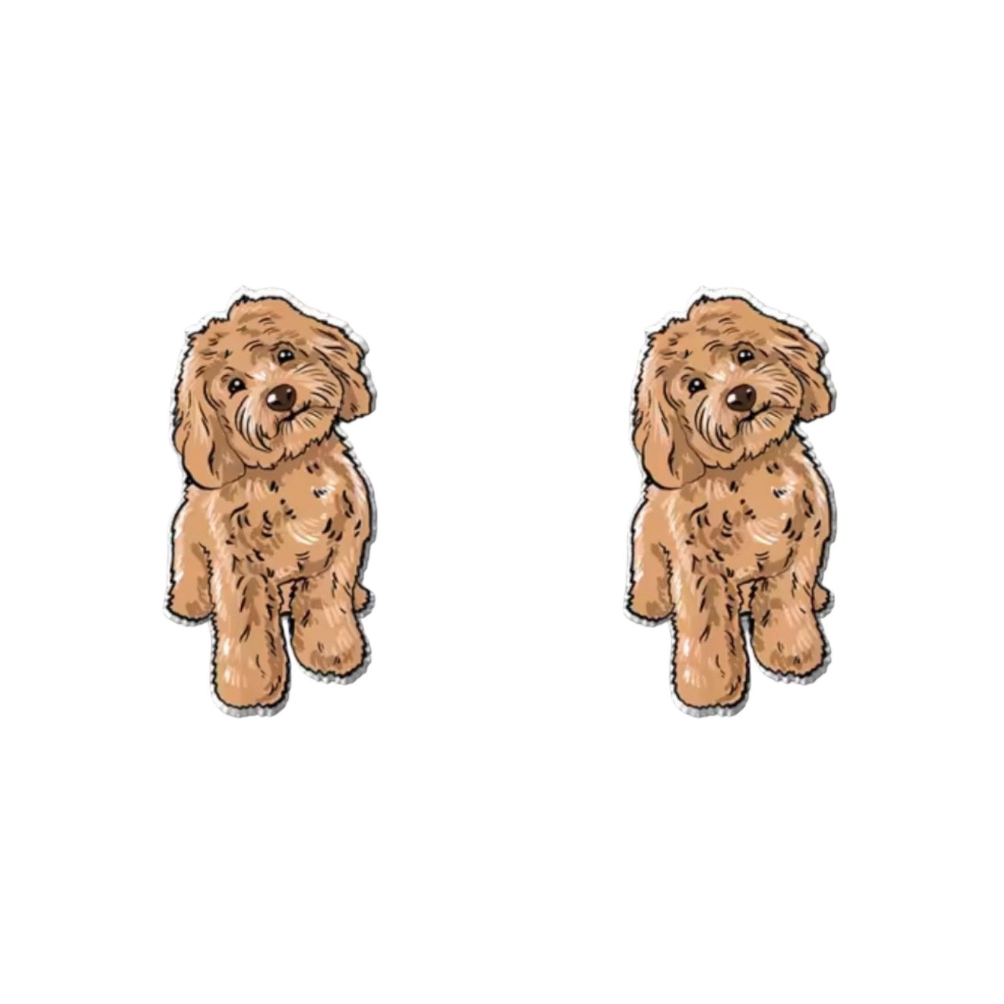 Cavoodle (Teddy) Studs
