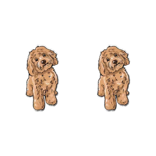 Cavoodle (Teddy) Studs
