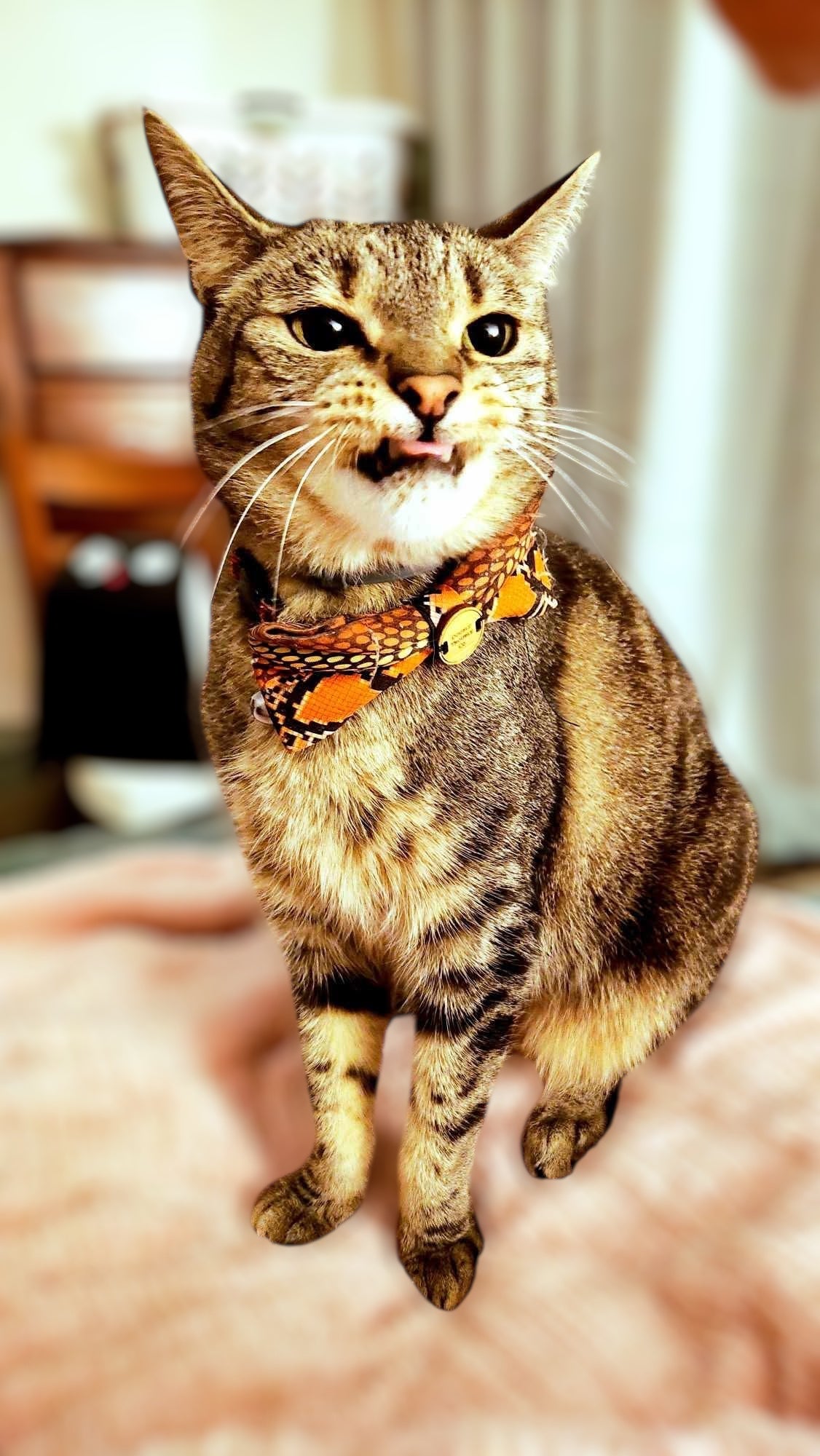 Reputation (Orange/Yellow)