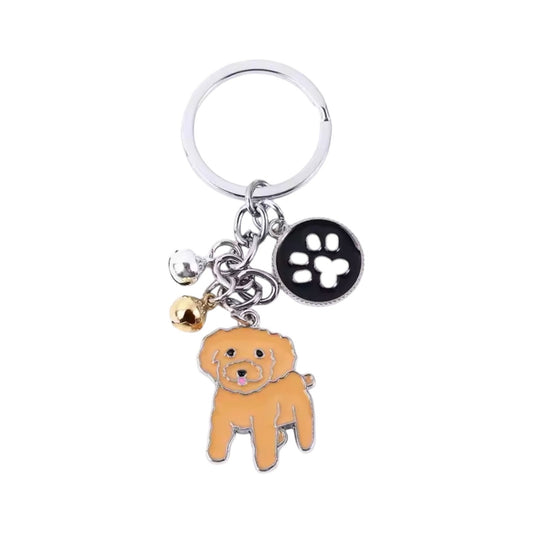 The Teddy Key