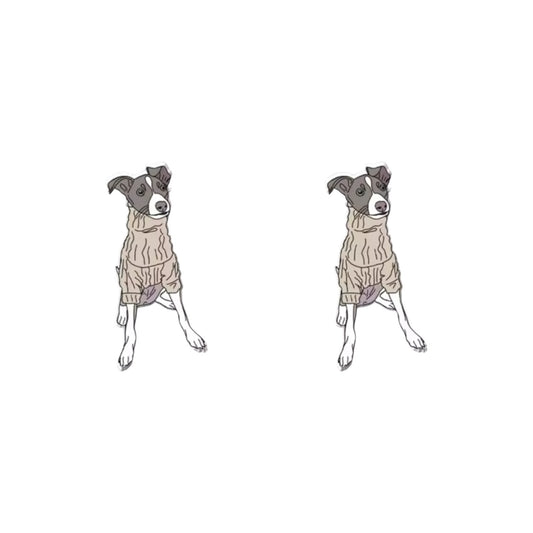 Cozy Greyhound Studs