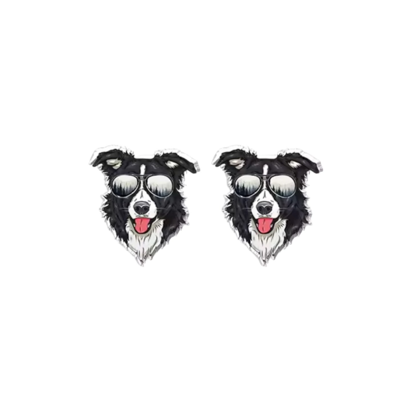 Sunny Border Collie Studs