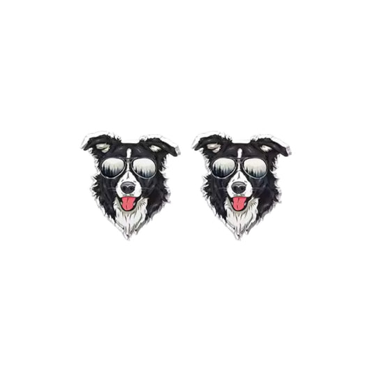 Sunny Border Collie Studs